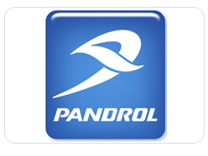 Pujara Engineers Client Pandrol
